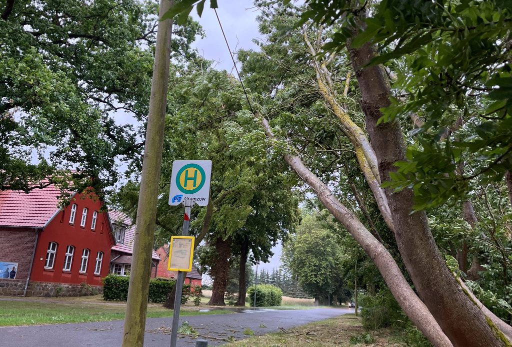Baum in Telefonleitung gefallen.